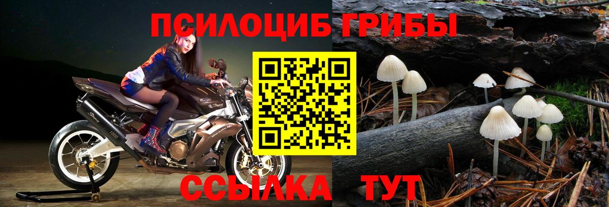 Галлюциногенные грибы Psilocybine cubensis  Псилоцибиновые грибы прущие грибы  наркота  Вход с VPN  Чапаевск 